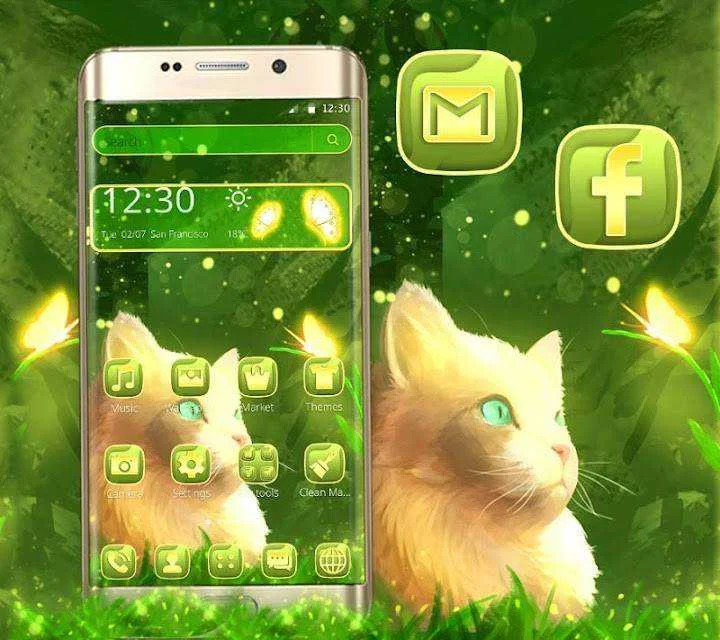 cat2.webp