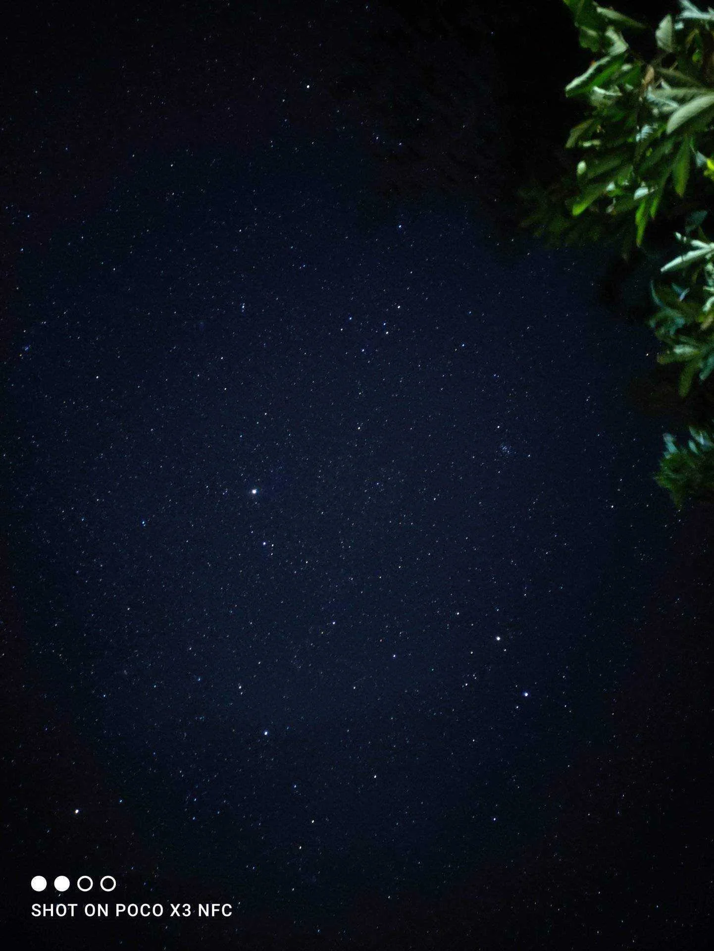 IMG_20220303_211637.webp