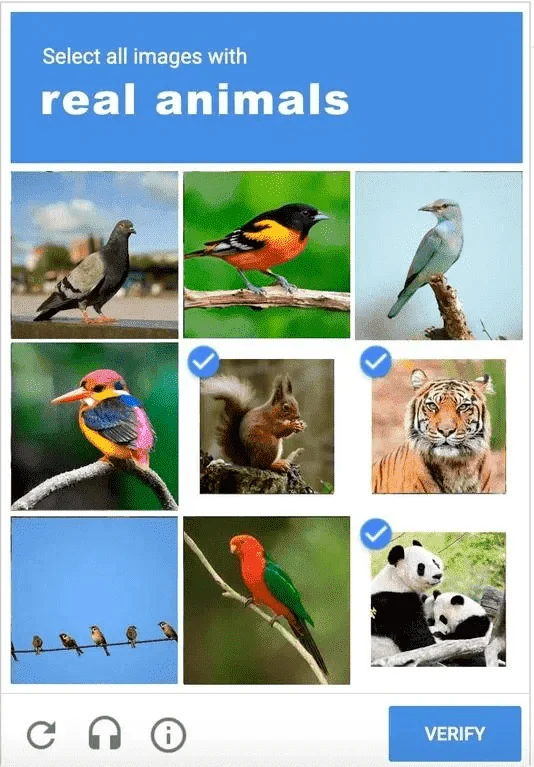 captcha.webp