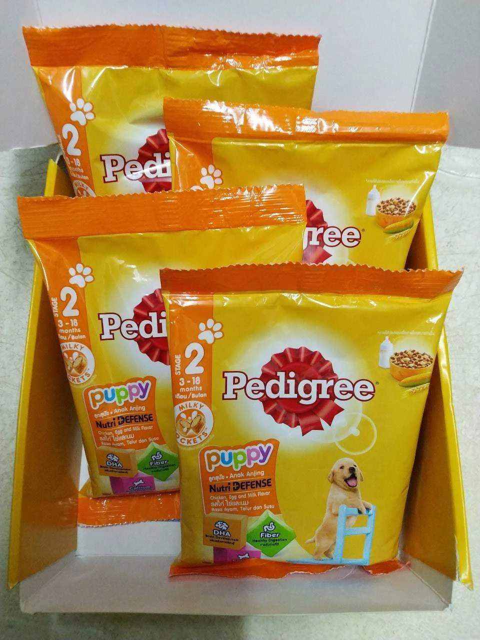 Pedigreex4.webp