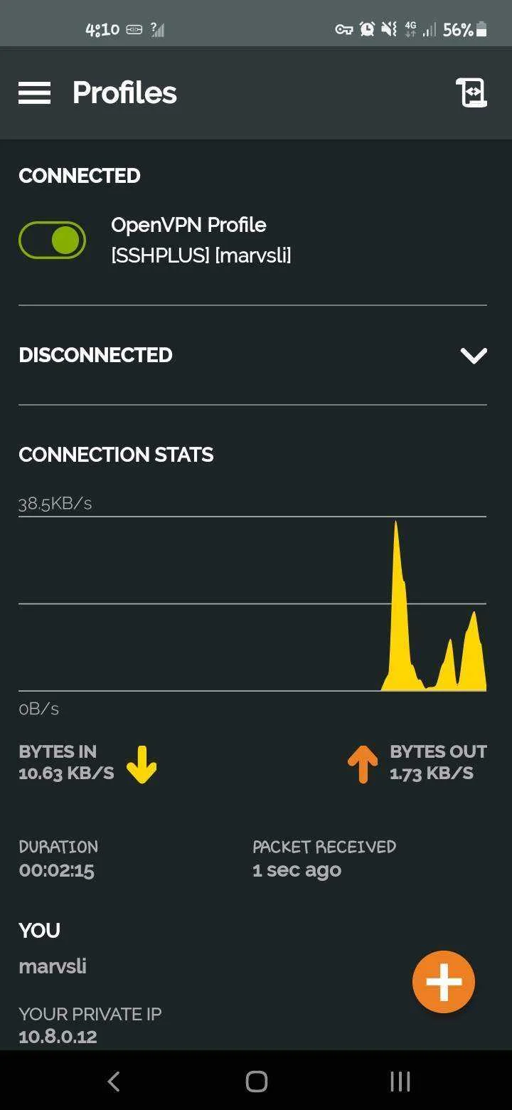 Screenshot_20220312-161033_OpenVPN Connect.webp