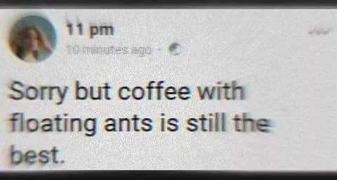 coffee float.webp