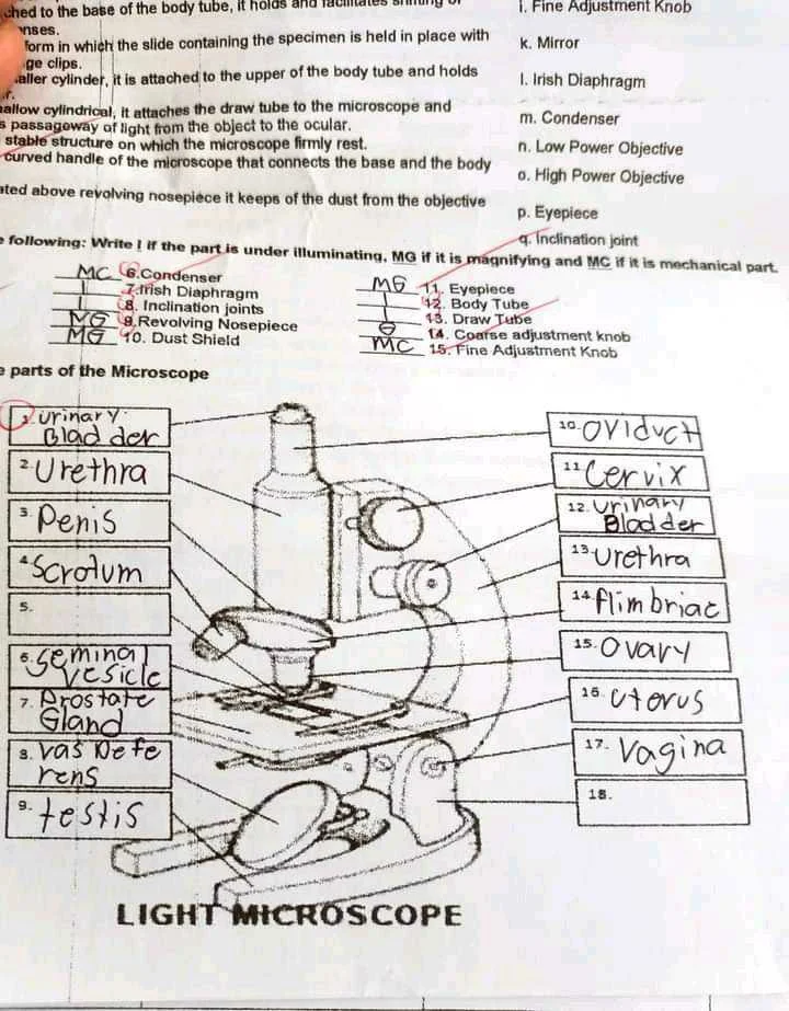 1647434643177.jpg