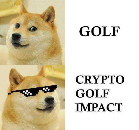 1647697036495.webp