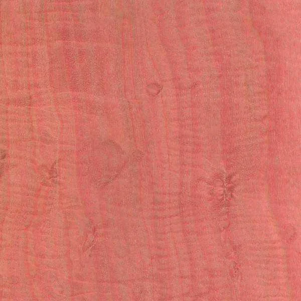 4.-Pink-Ivory.jpg