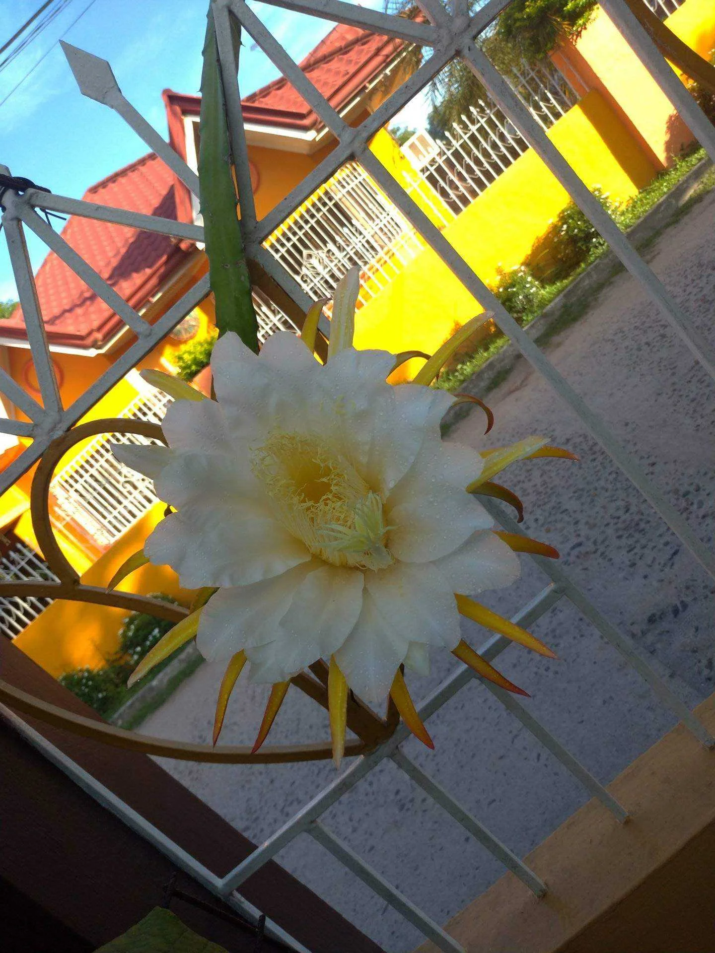 1647835165941.webp