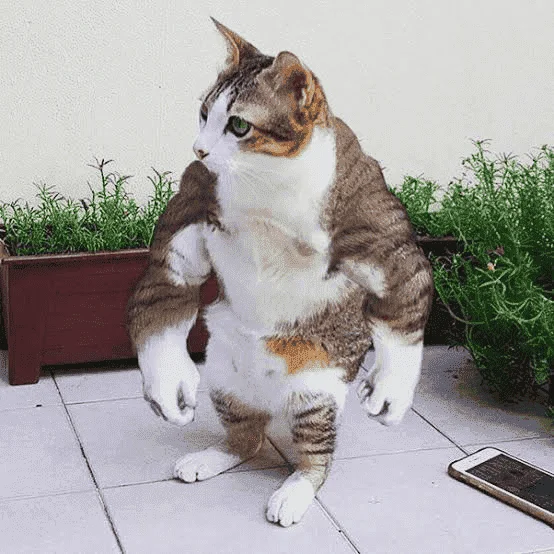 1648253203891.png