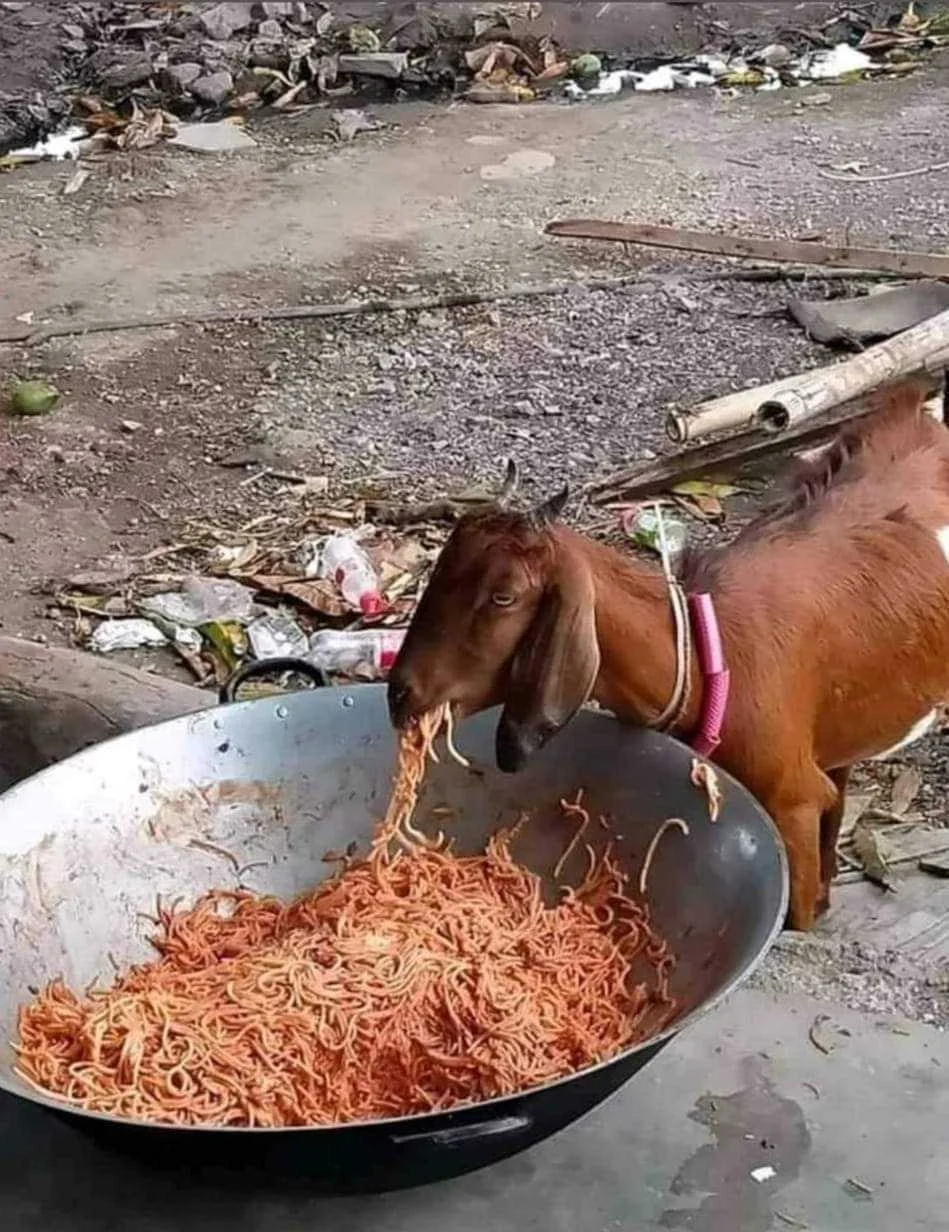 iniwan nyo kasi yan tuloy.webp