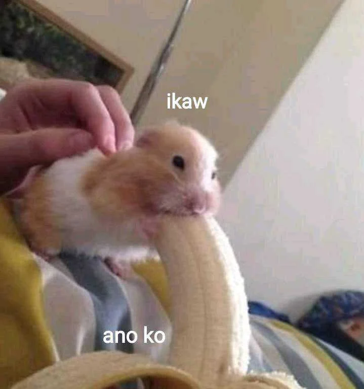 cute hihi.webp