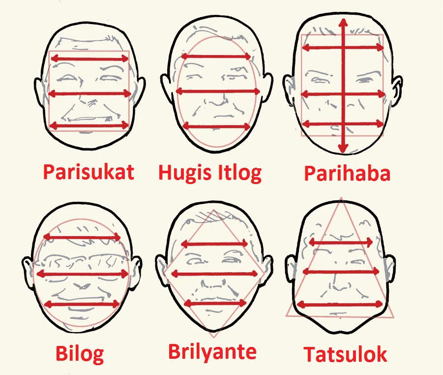 image2.webp