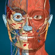 1649763135566.webp