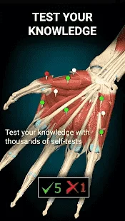 1649763191027.webp
