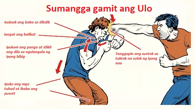 image3.webp