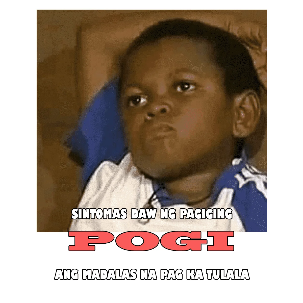 MEME1.webp