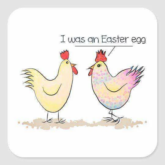 Funny Chicken was an Easter Egg Classic Round Stic Square Sticker _ Zazzle_com.webp