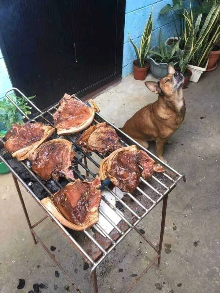 FB_IMG_1650263692970.webp
