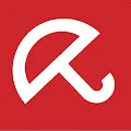 1650804919543.webp