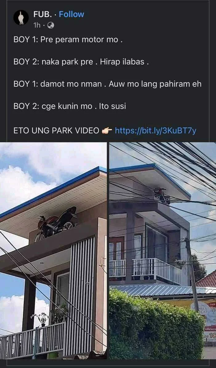 1651225517189.webp