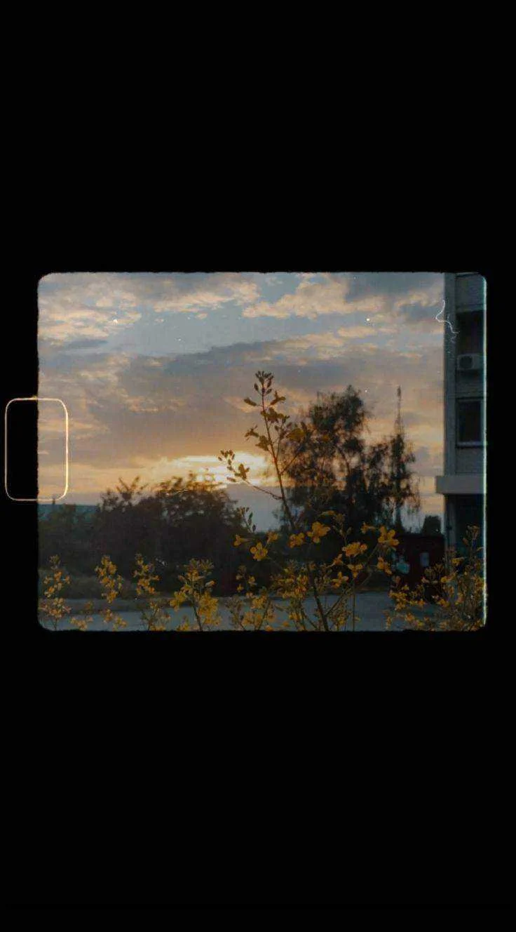 f47311c424f080cec6393743325db1e0.webp