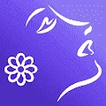 1651491260306.webp