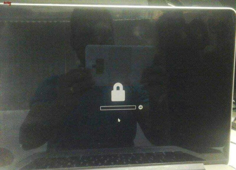 185321704_835280377079008_8685523440071441718_n.webp