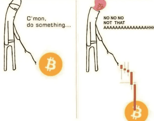 BTC..webp