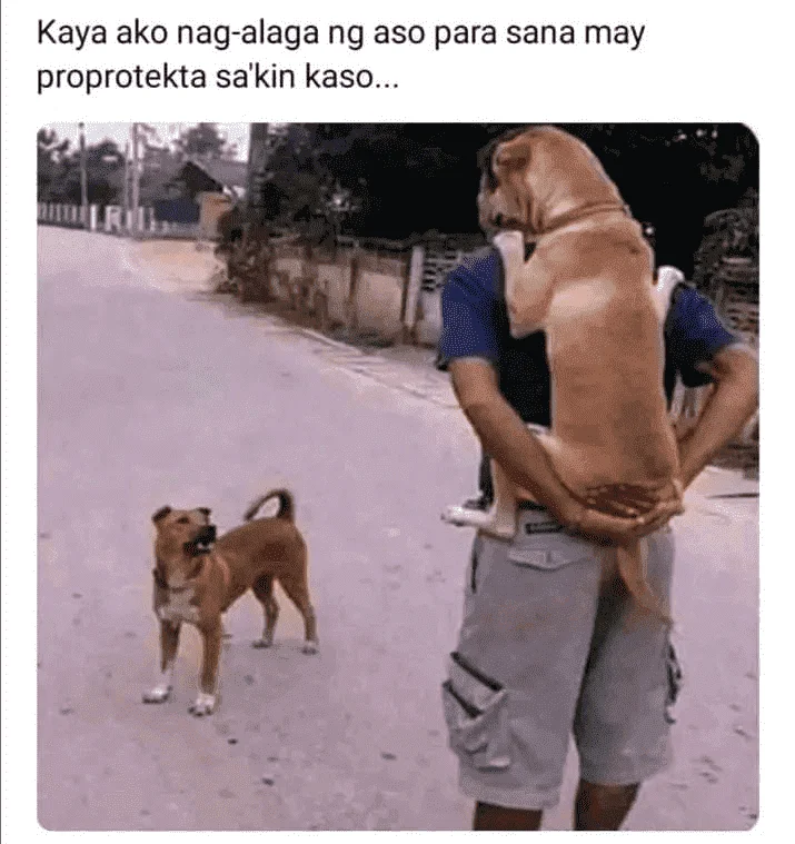 1653006109874.webp