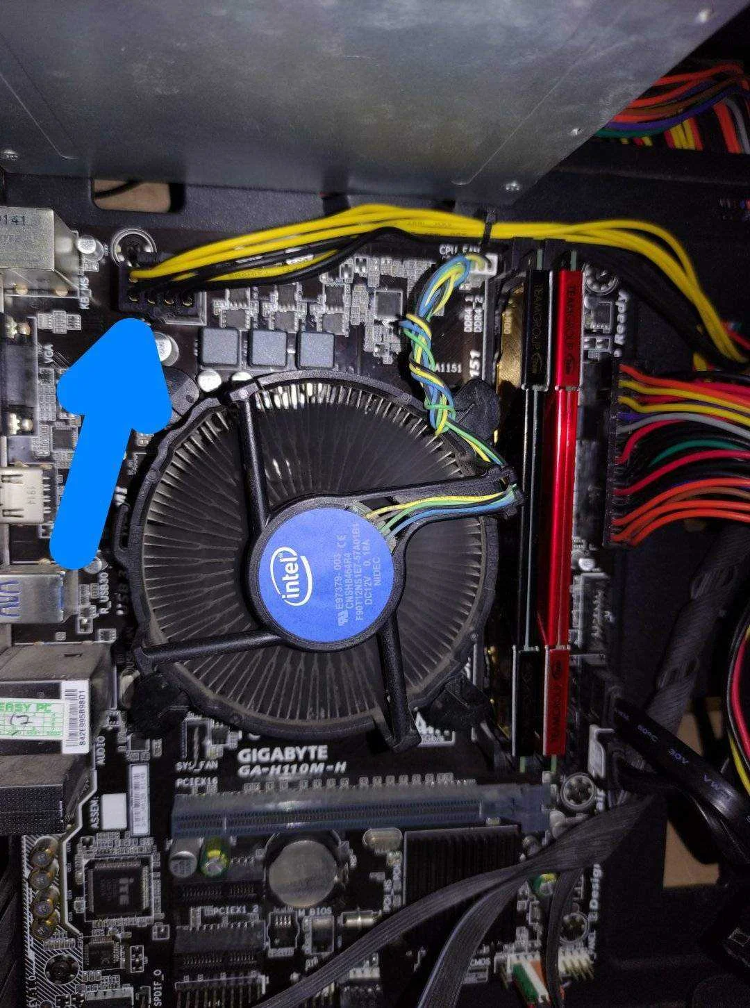 USER_SCOPED_TEMP_DATA_orca-image--1641841103.webp