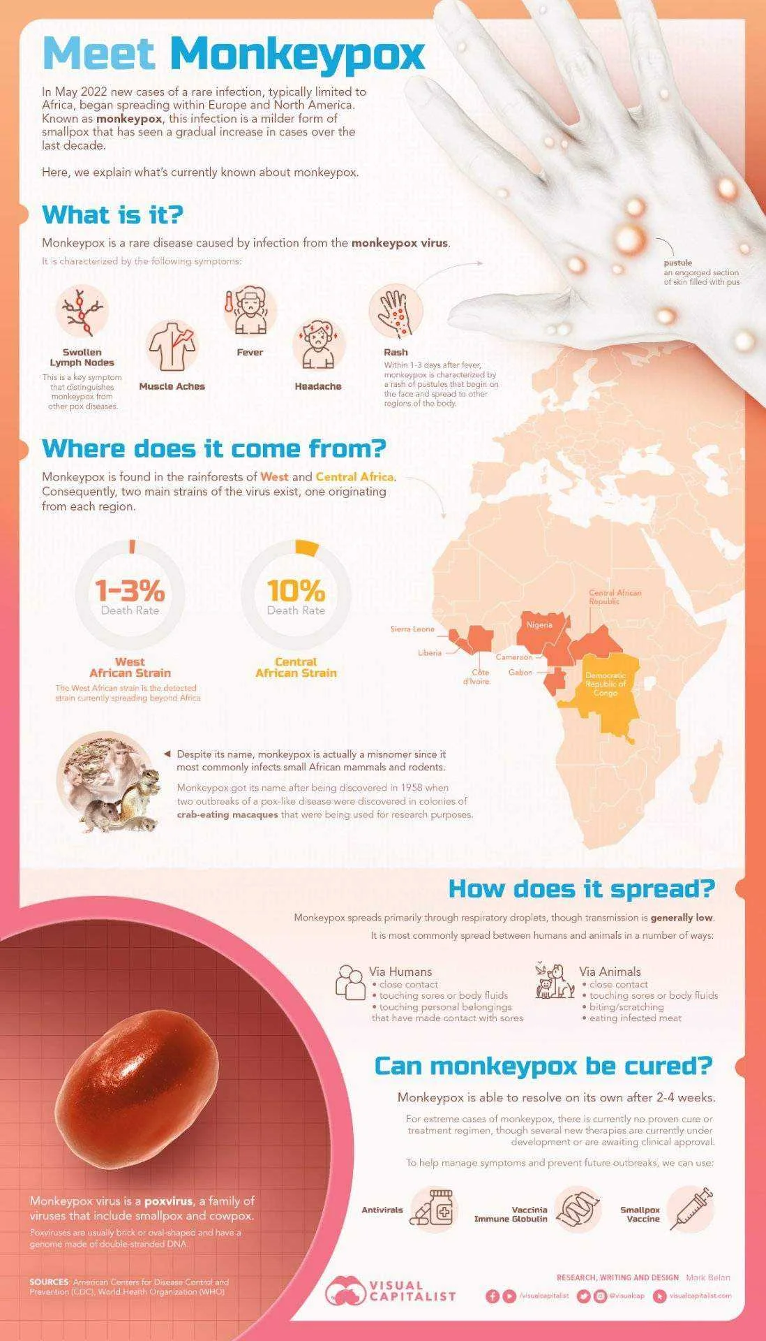 Monkeypox (Visual Graphic)