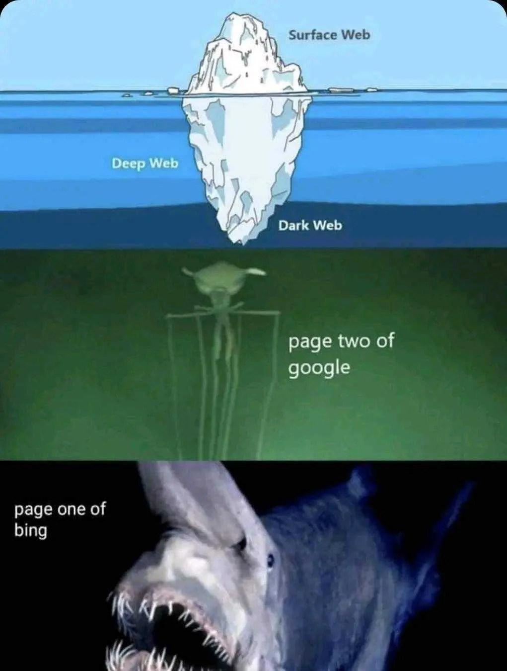 1653456388548.webp