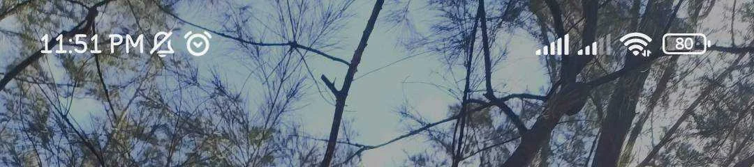 IMG_20220525_235132.webp