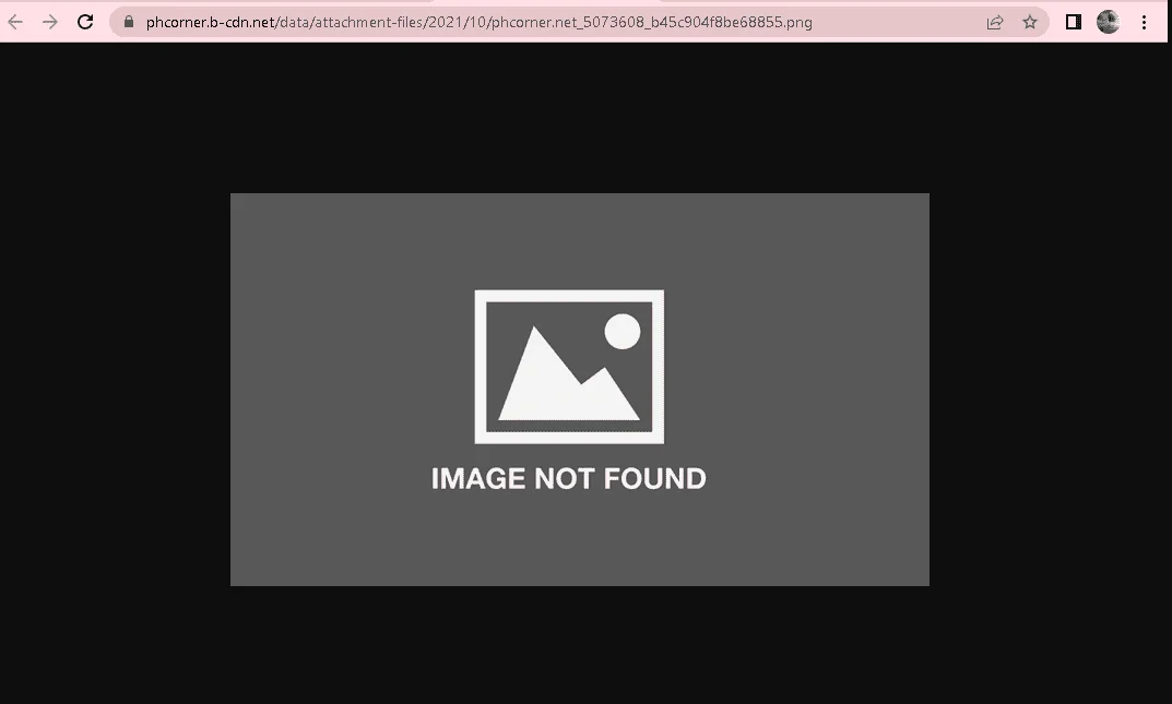 1653566278688.webp