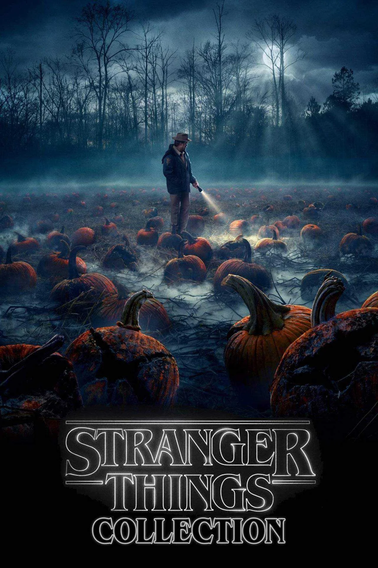 Stranger Things Seasons 1-4 COMPLETE - 720p
