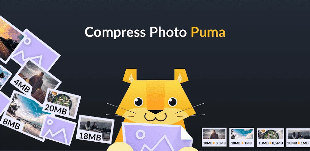 1653994791376.webp