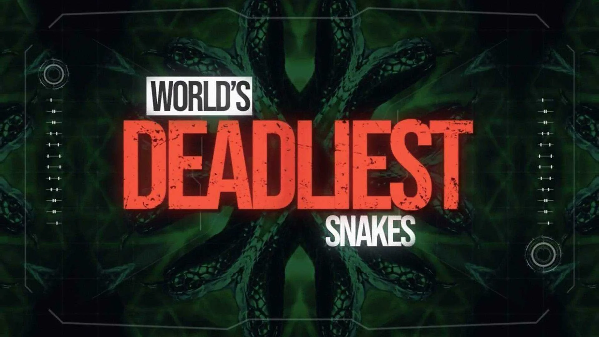World's Deadliest Snakes (National Geographic Wild)