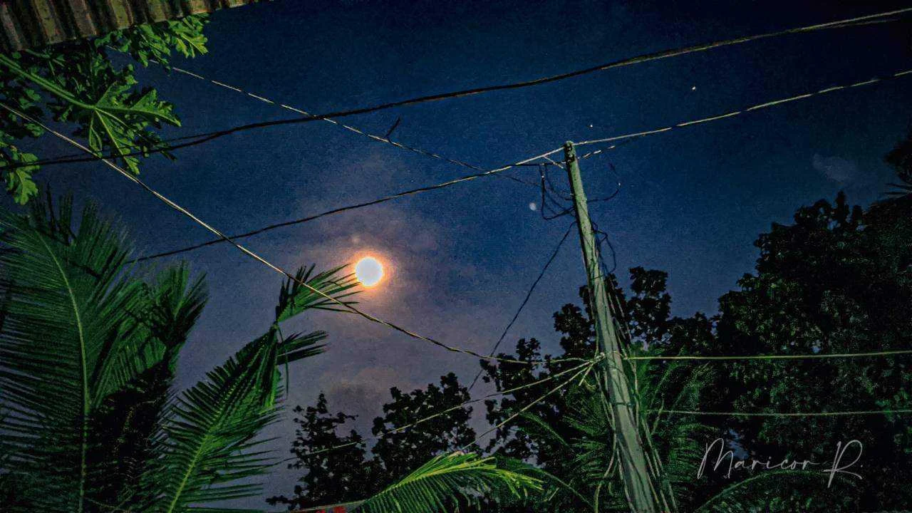 20220622_220200.webp