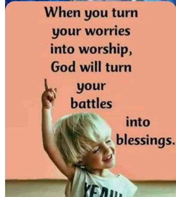 FB_IMG_1656253009366.webp