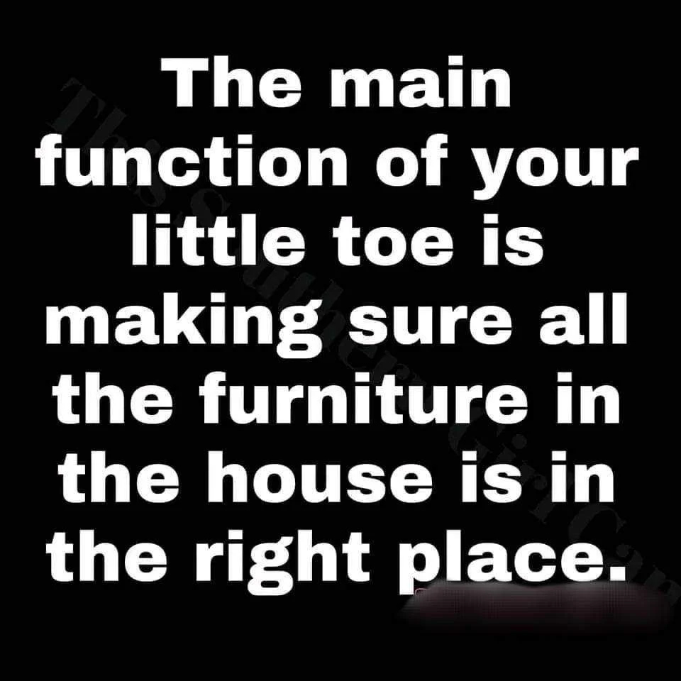 IMG_20220628_163655.webp