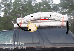200-gif.3261407