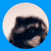 200.gif