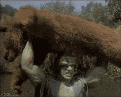 200-gif.3274544