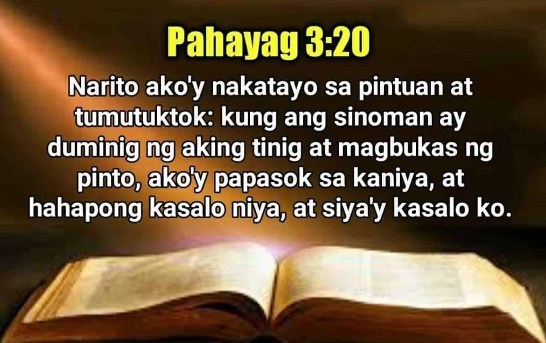FB_IMG_1656895249851.webp