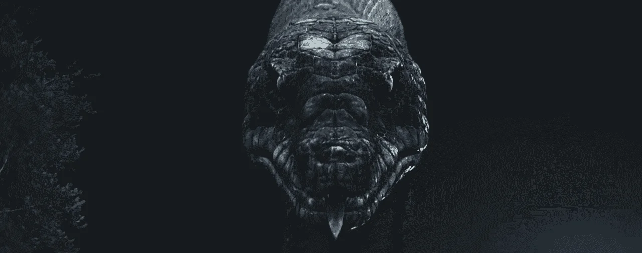 vlcsnap-2022-07-09-15h21m11s173.png
