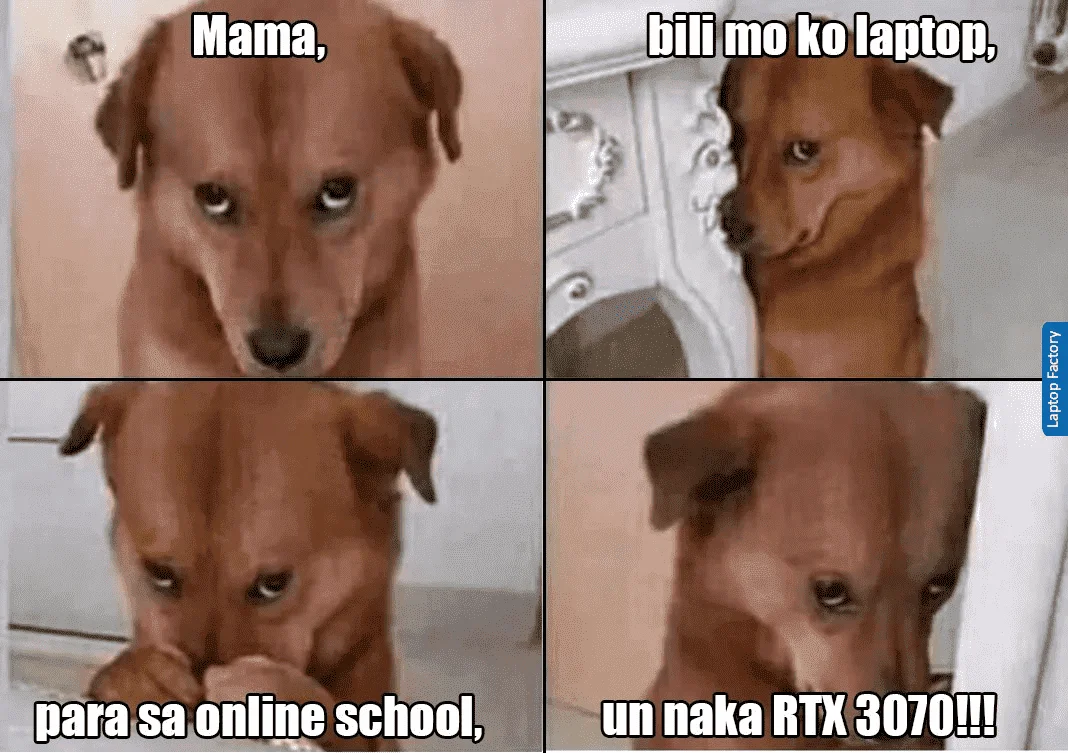 1657355857137.webp