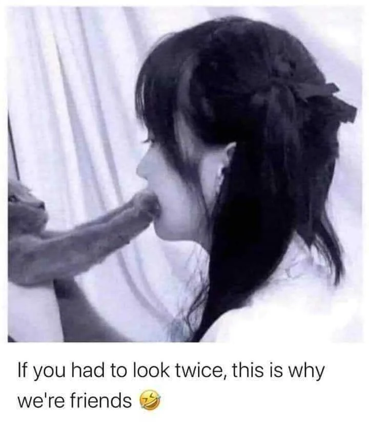FB_IMG_1654199340308.webp