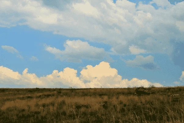 1657473520038.webp