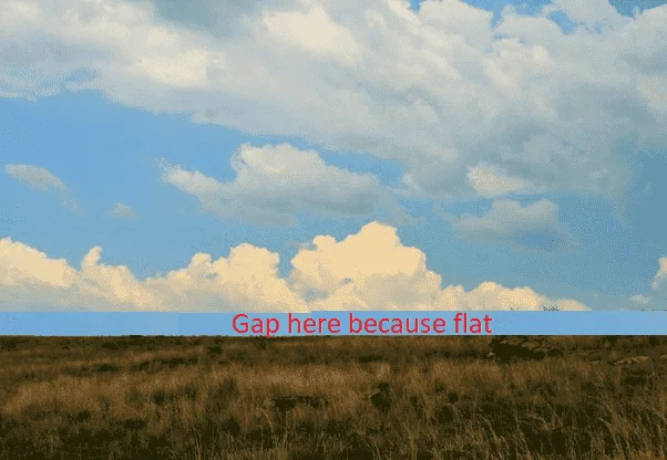 flat-1657473520038.webp