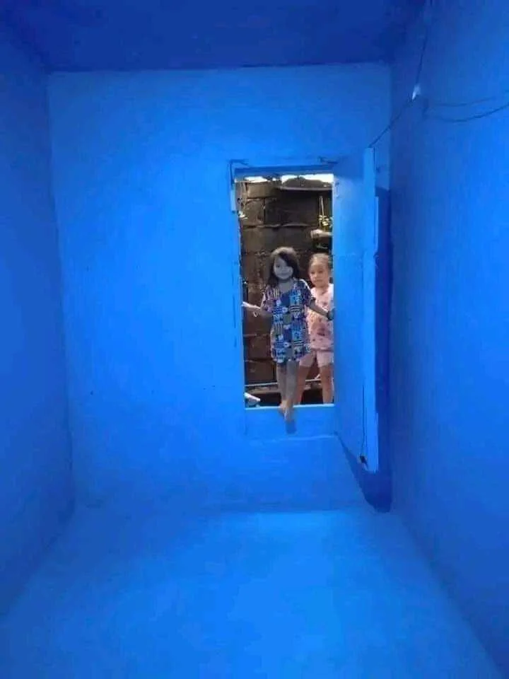 1658234395394.webp