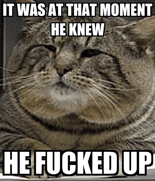 1658318494695.webp