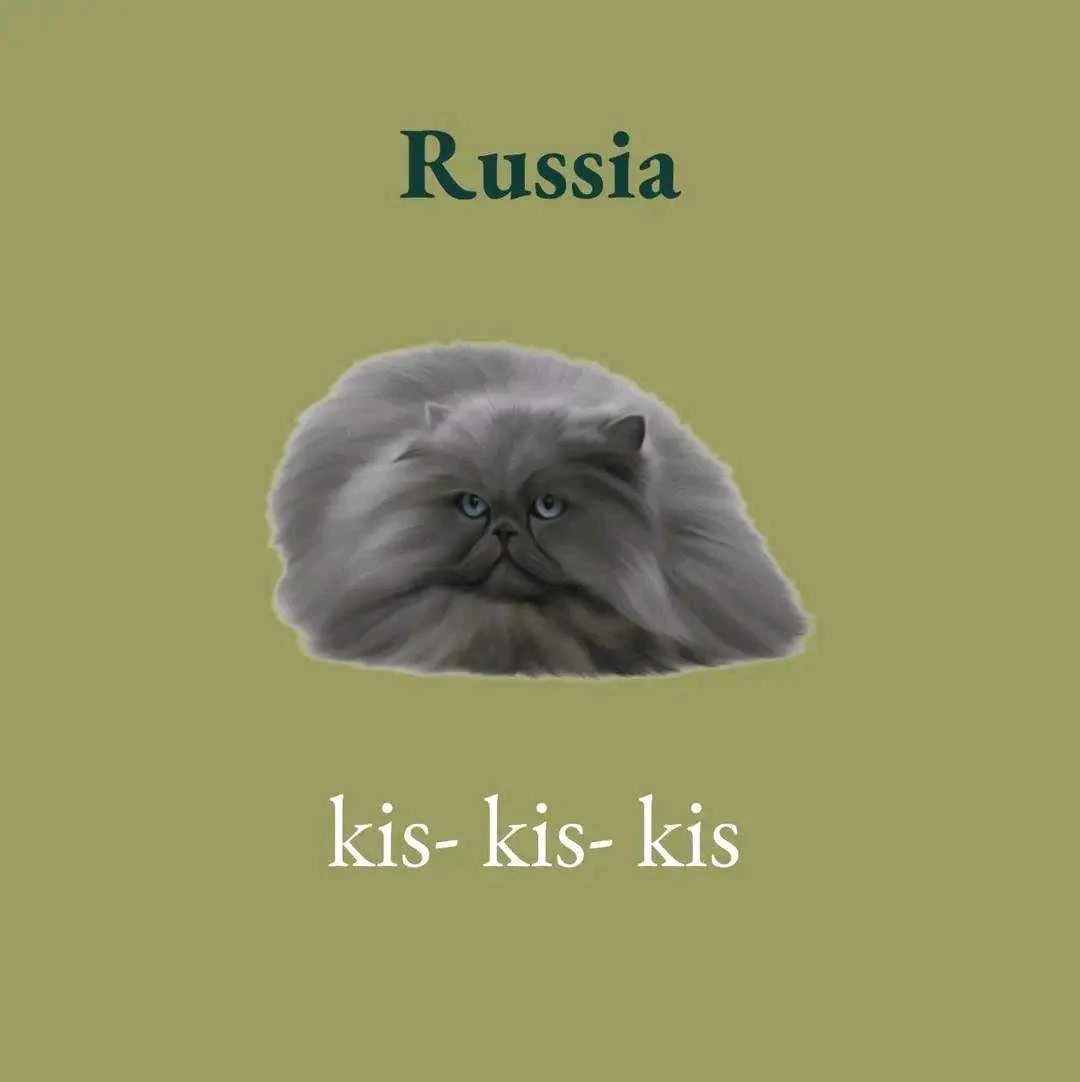 1658994289592.webp